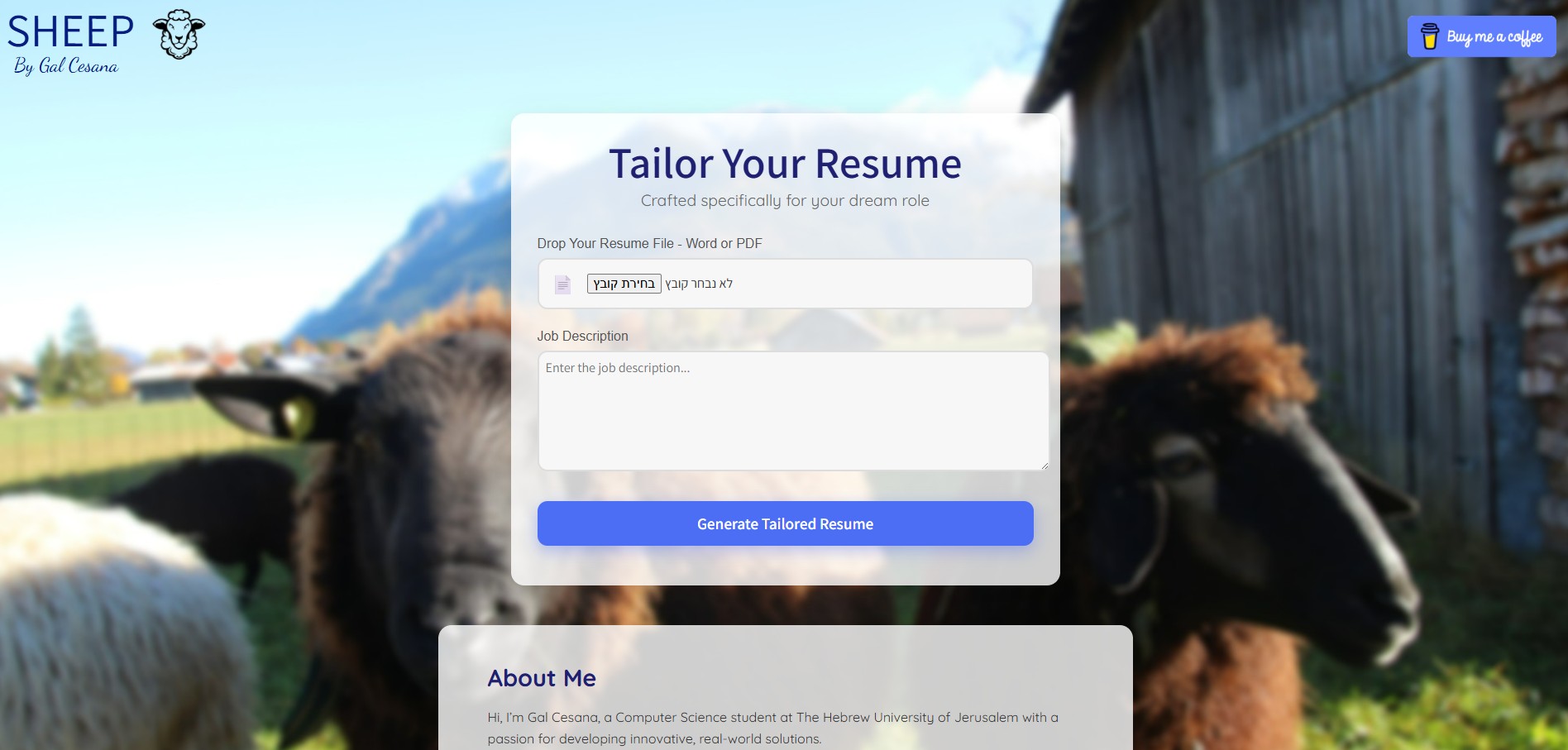 Screenshot of Intern-sheep resume tailoring tool